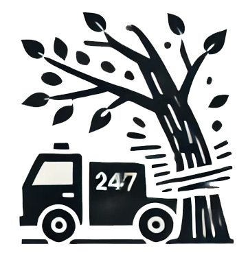 Emergency Service 2 copy Emergency Service 2 copy